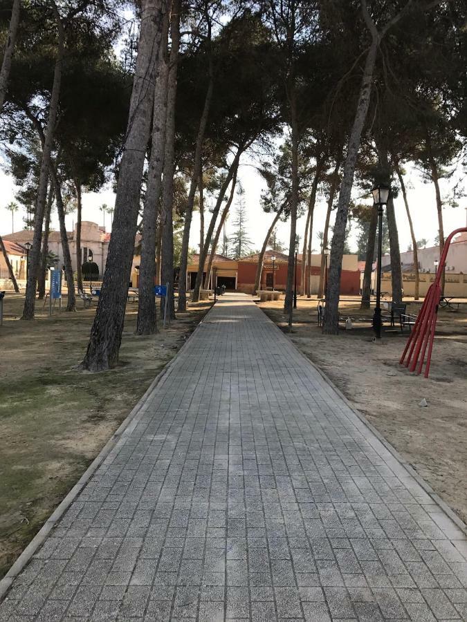 Apartament Residential Jardin Del Pintor - La Casa Amarilla Jacarilla Zewnętrze zdjęcie